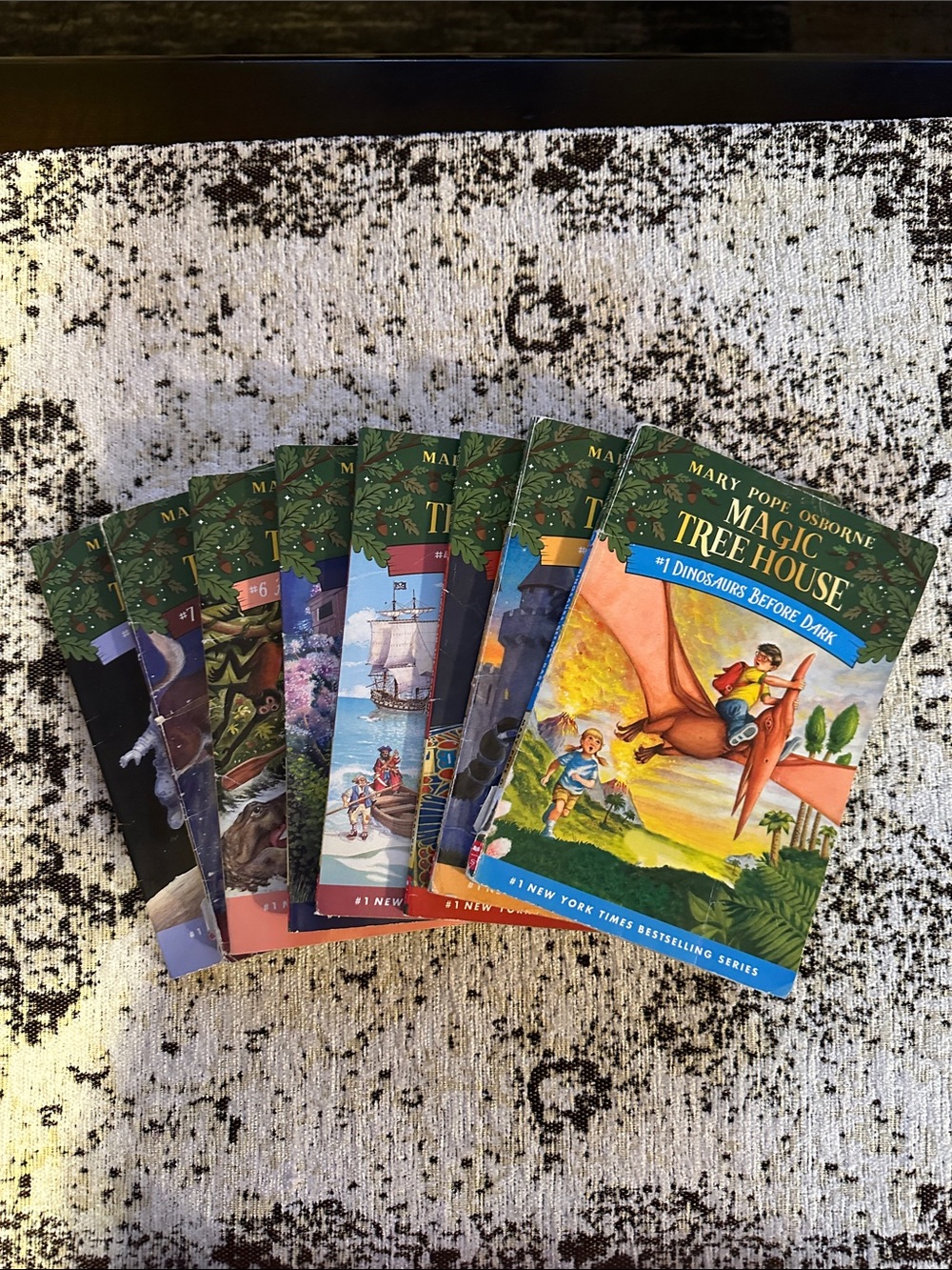 Magic Tree House Chapter Book Set - Colorful Illustrated Covers